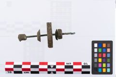 Foto von Bronzespinnrocken (NHMW-PRAE-035748)